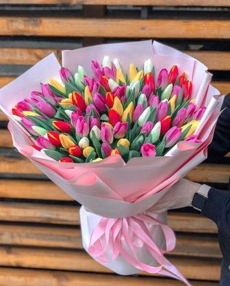 Предзаказ на тюльпаны