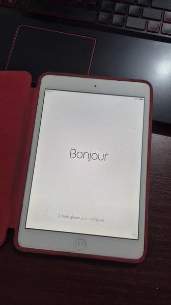 iPad mini A1455