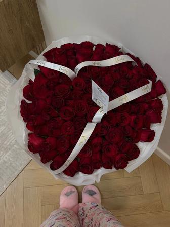 101 шт красных роз