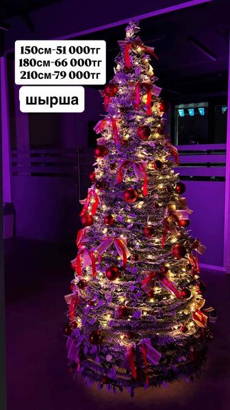 Ёлка шырша сатамыз