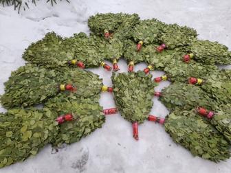 Веники баняберёза