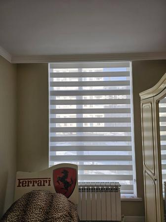 Жалюзи День и ночь