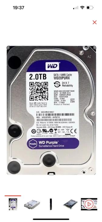 Жесткий диск 2TB