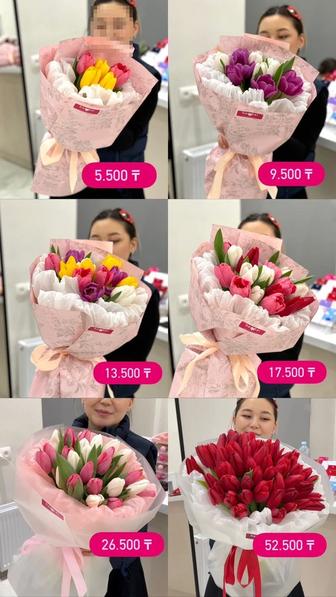 Белорусские тюльпаны