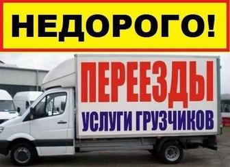 Грузоперевозки