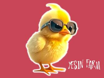 Инкубационные яйца бройлера арбор айкрес отборное качество