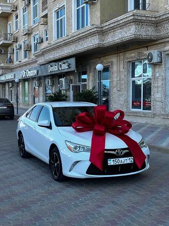 Банты для машины