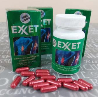 Exxet суставы болит спина хрящи восстановление отечность костная ткань