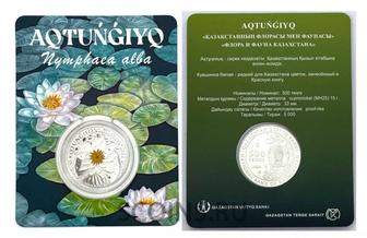 Блистер Кувшинка