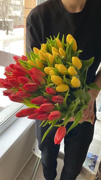 Тюльпаны оптом