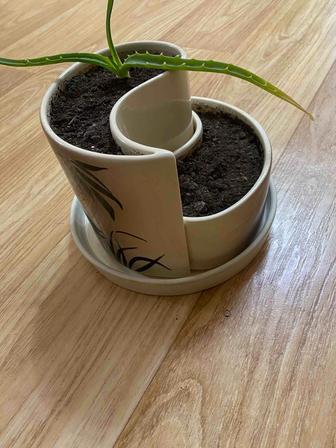 Горшок для цветов