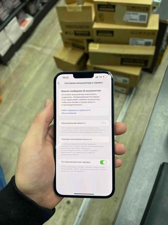 13 про max 256 гб