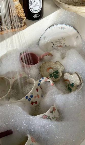 Услуги посудомойщицы