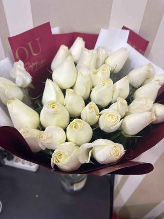 цветы розы белые