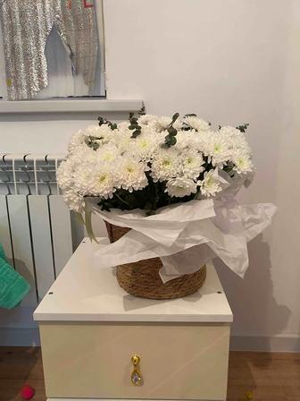 Продам цветы