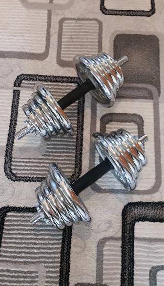 Гантели 40 кг общий вес разборные