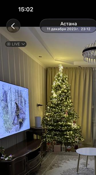 Продам елку