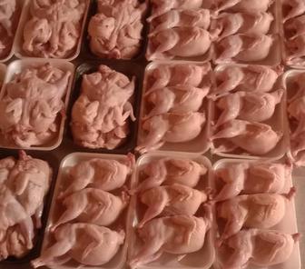 Мясо перепелов