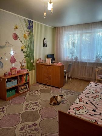 Спальный гарнитур -Детский-подростковый.