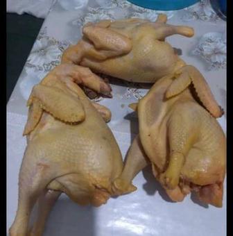 Домашние резаные куры, гуси, утки, индейки, горный мед, есть доставка город