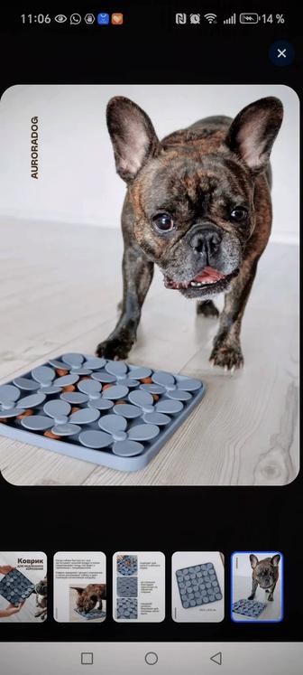 Товары для собак