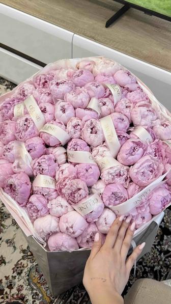 Пионы букет продаю