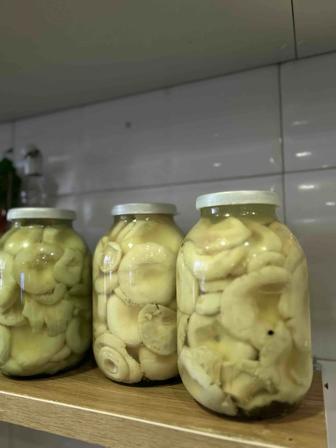 Продам грузди домашние