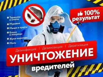 Дезинфекция дезинсекция обработка уничтожение тараканы постельные клопы