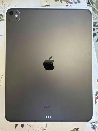 IPad Pro 13, M4, Cellular, WiFi, 256GB