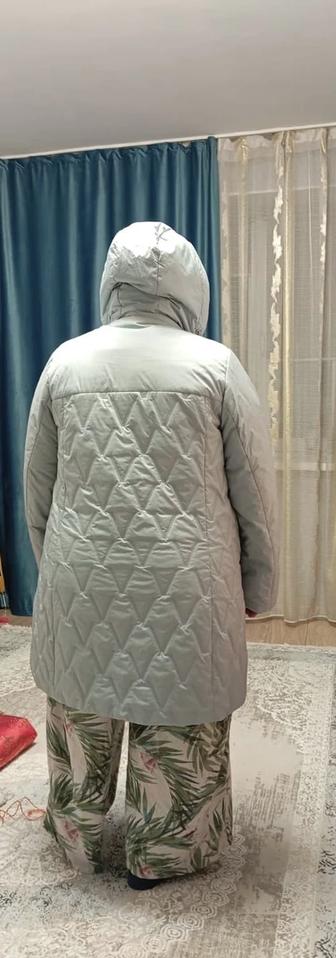 Стегонка женская