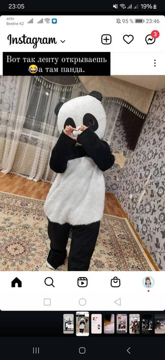 Костюм панды в аренду