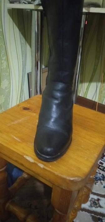 Женская обувь сапоги