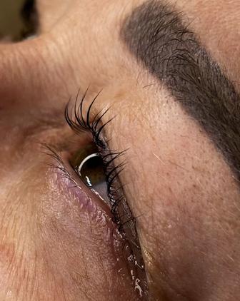 Обучение ламинирование ресниц и бровей