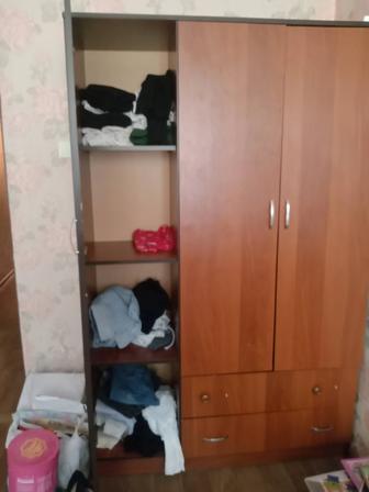 Шифонер трехсворчатый