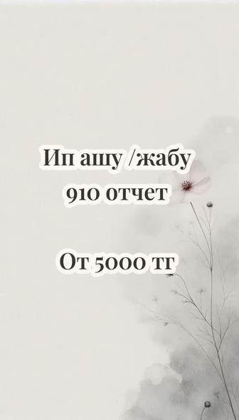 Ип ашу/жабу ,910 отчет