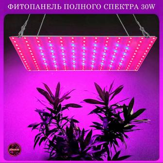 Фитопанель 30w