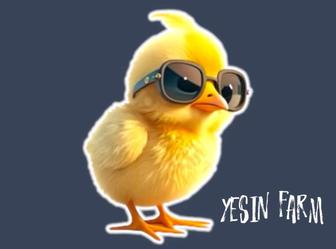 Инкубационные яйца бройлера арбор айкрес быстрорастущий бройлер