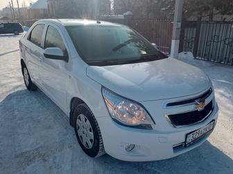 Сдам кобальт в аренду