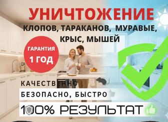 Дезинфекция от тараканов и клопов с гарантией 1 год