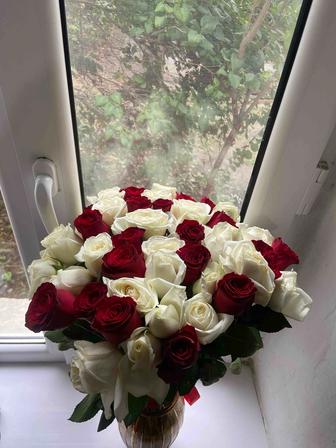 Продам 51 розу