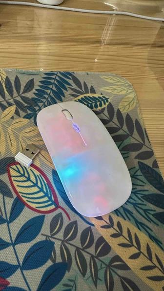 Мышь компьютерная беспроводная USB
