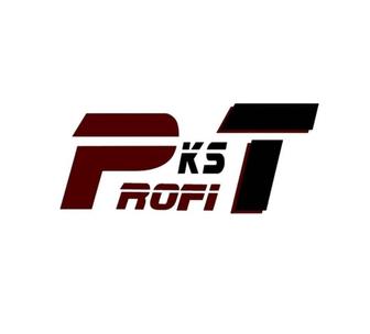 Установка видеонаблюдения СКУД Шлагбаумы Электромонтаж PROFIT