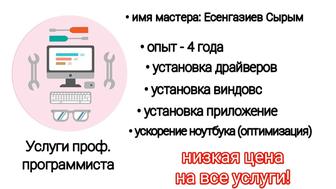 услуга проф. программиста, гарантия и поддержка после заказа