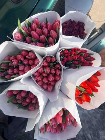 Оптом Красивейшие Тюльпаны
