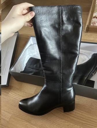 Сапоги Женские высокие