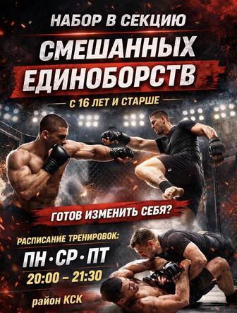 Набор в секцию смешанных единоборств