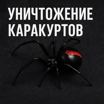 Уничтожение Каракурты Черные вдовы
