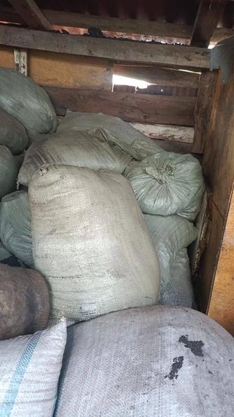 Продам мешки угля на зиму