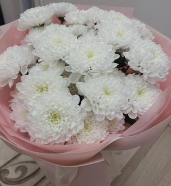 Продам красивый нежный букет из белых хризантем