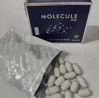 Молекула плюс Molecule plus Германия